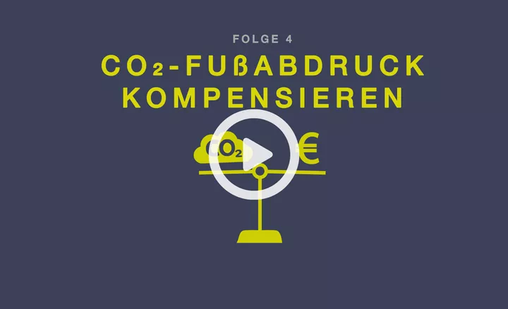 Wie wir unseren CO₂-Fußabdruck kompensieren